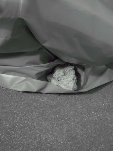 Selina Seibel Nektar 25 min