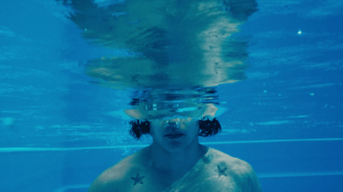 PHTG Dazwischen Nektar Still 2