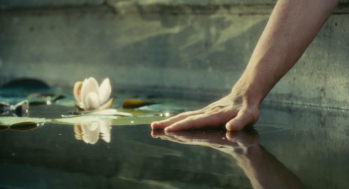 nuesch sister feed 8